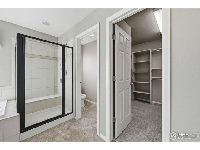 1555 Benfleet Ct, Windsor, CO 80550