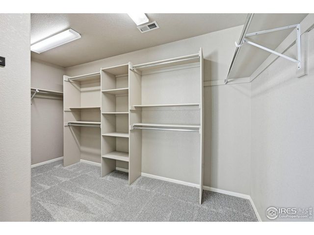 1555 Benfleet Ct, Windsor, CO 80550