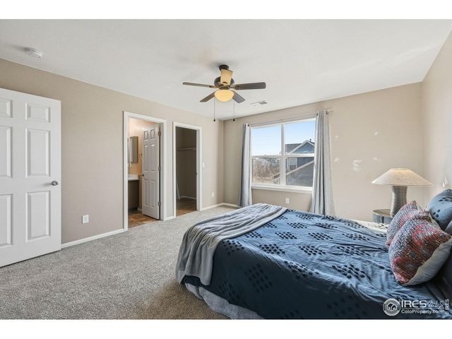 1555 Benfleet Ct, Windsor, CO 80550