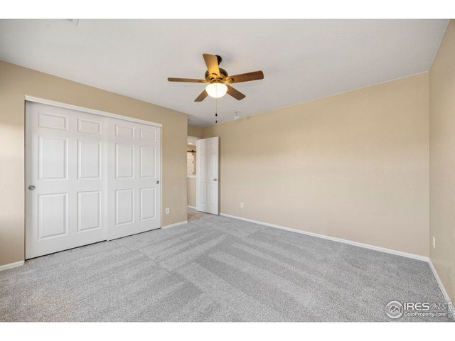 1555 Benfleet Ct, Windsor, CO 80550