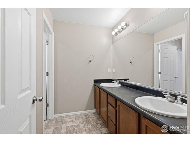 1555 Benfleet Ct, Windsor, CO 80550