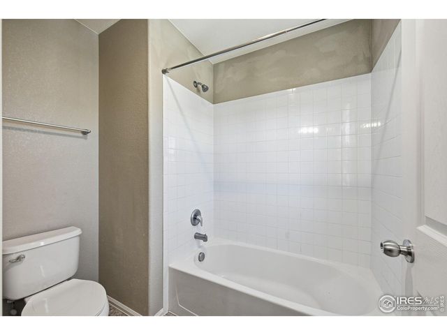 1555 Benfleet Ct, Windsor, CO 80550