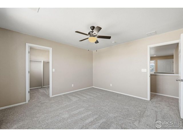 1555 Benfleet Ct, Windsor, CO 80550