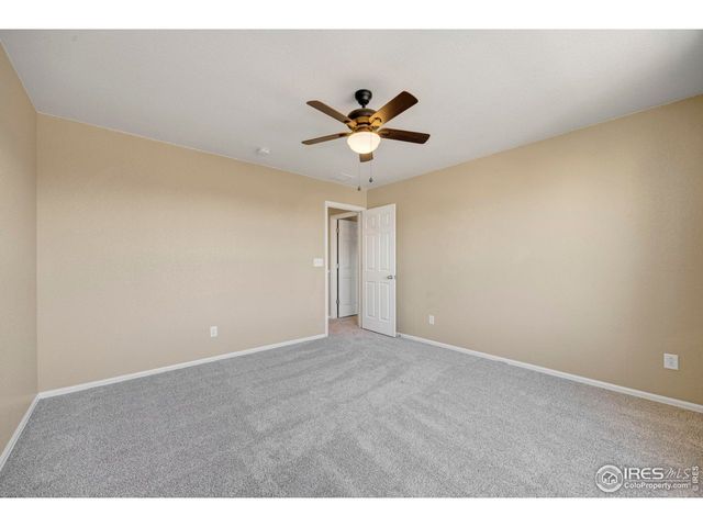 1555 Benfleet Ct, Windsor, CO 80550
