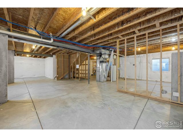 1555 Benfleet Ct, Windsor, CO 80550