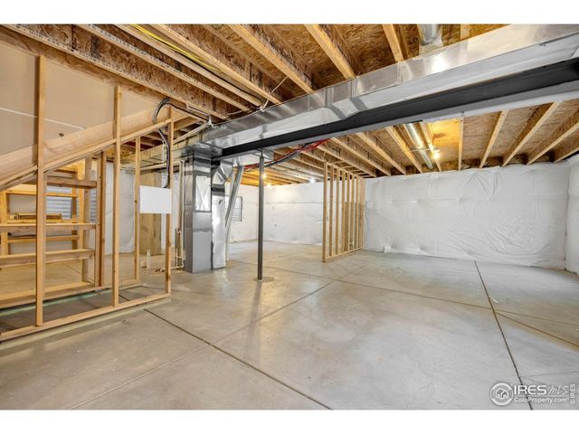 1555 Benfleet Ct, Windsor, CO 80550