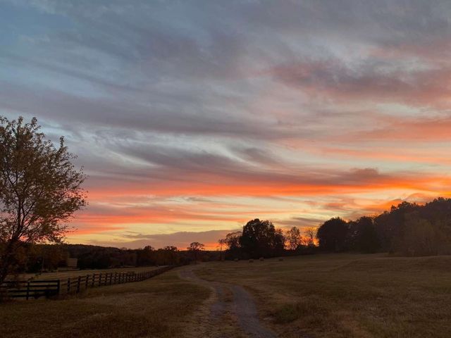 4243 Beech Log Rd, Lebanon, TN 37090