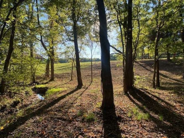 4243 Beech Log Rd, Lebanon, TN 37090