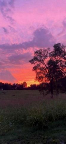 4243 Beech Log Rd, Lebanon, TN 37090