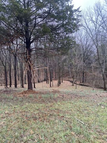 4243 Beech Log Rd, Lebanon, TN 37090