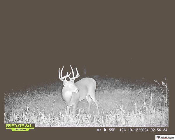 3800 N 112 Street, Lincoln, NE 68527