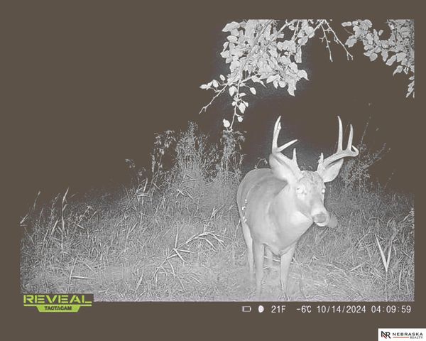 3800 N 112 Street, Lincoln, NE 68527