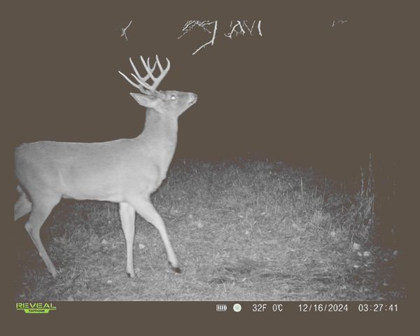 3800 N 112 Street, Lincoln, NE 68527