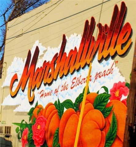 320 Old Perry Road, Marshallville, GA 31057