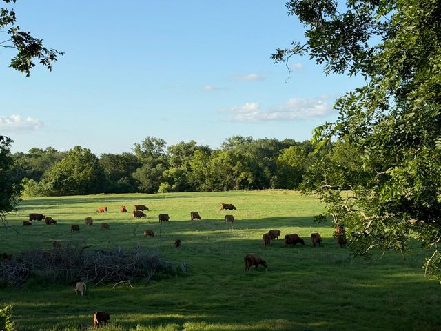 314 FM 2571, Smithville, TX 78957