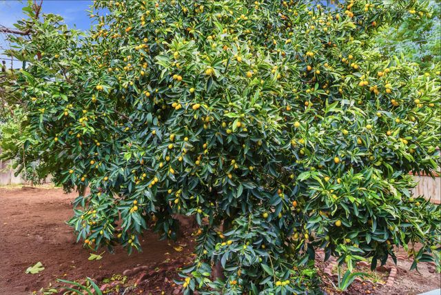 1214 S Spruce Street, Tulare, CA 93274