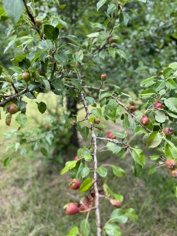 2491 Fred White Rd, Columbia, TN 38401