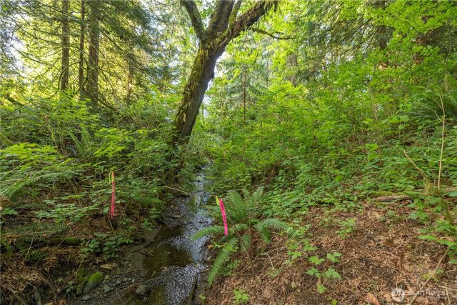 0 163rd Avenue SE, Snohomish, WA 98290