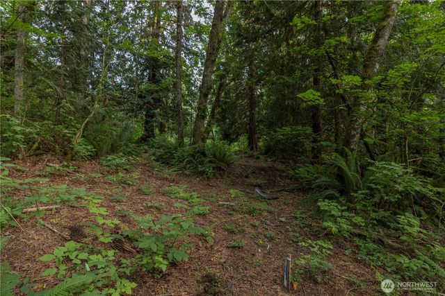 0 163rd Avenue SE, Snohomish, WA 98290