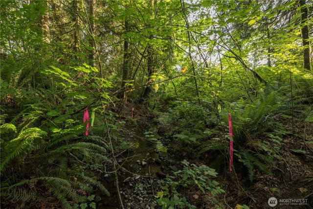 0 163rd Avenue SE, Snohomish, WA 98290