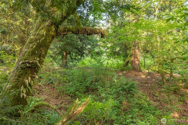 0 163rd Avenue SE, Snohomish, WA 98290