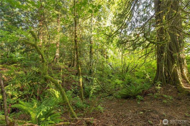 0 163rd Avenue SE, Snohomish, WA 98290