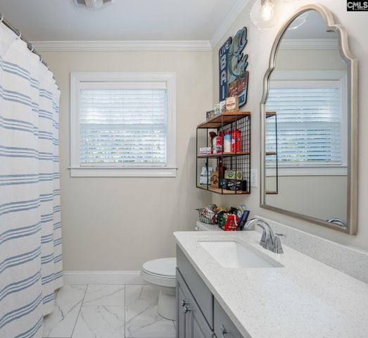 7 Sienna Court, Chapin, SC 29036