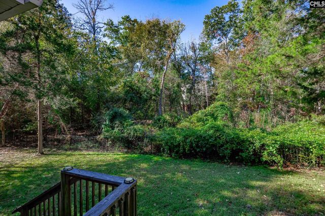 7 Sienna Court, Chapin, SC 29036