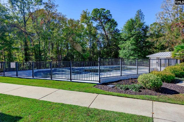 7 Sienna Court, Chapin, SC 29036