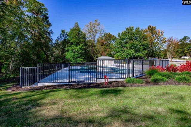 7 Sienna Court, Chapin, SC 29036