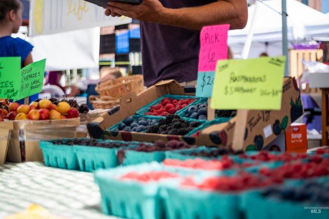 45 N Feather Reed Ave., Meridian, ID 83642