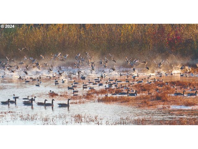 847 GLADE Ave, Forest Grove, OR 97116