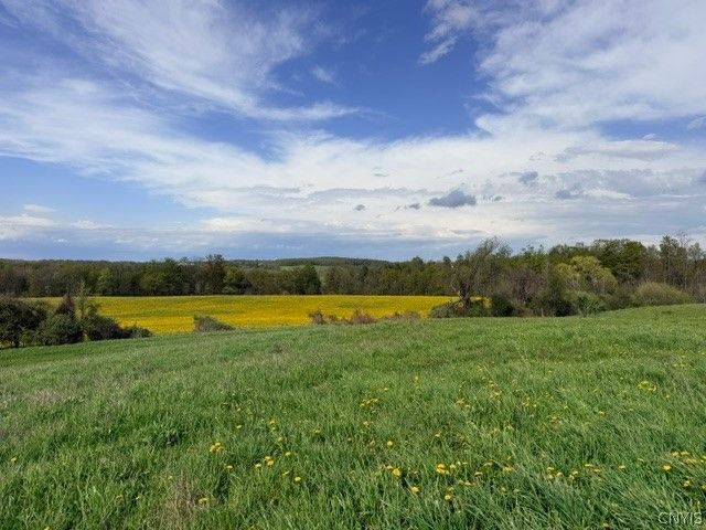 4634 Roberts Road, Fenner, NY 13035