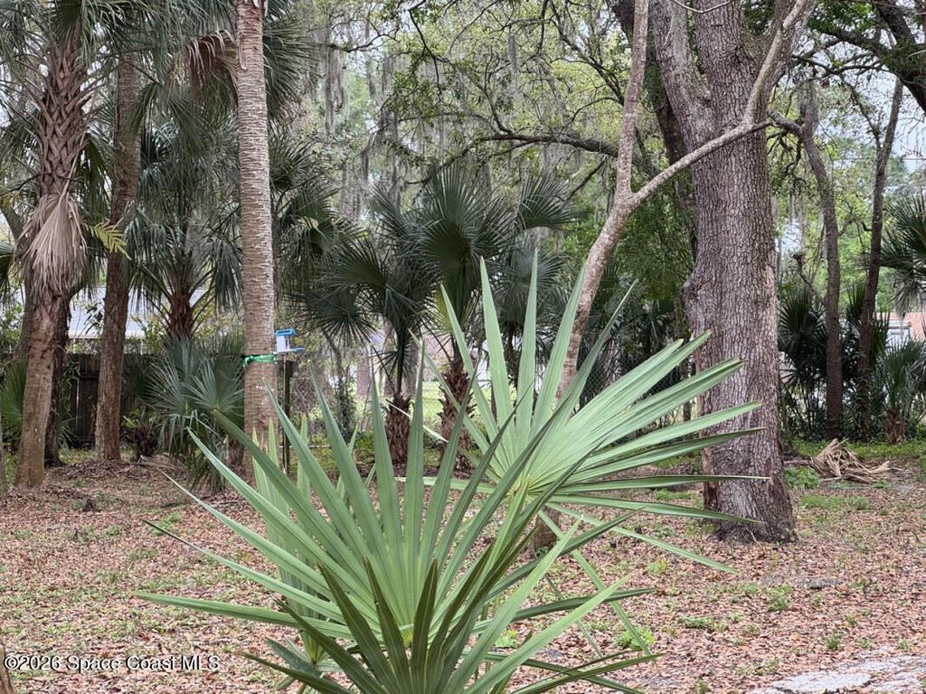 0 Grapefruit Road SE, Palm Bay, FL 32909