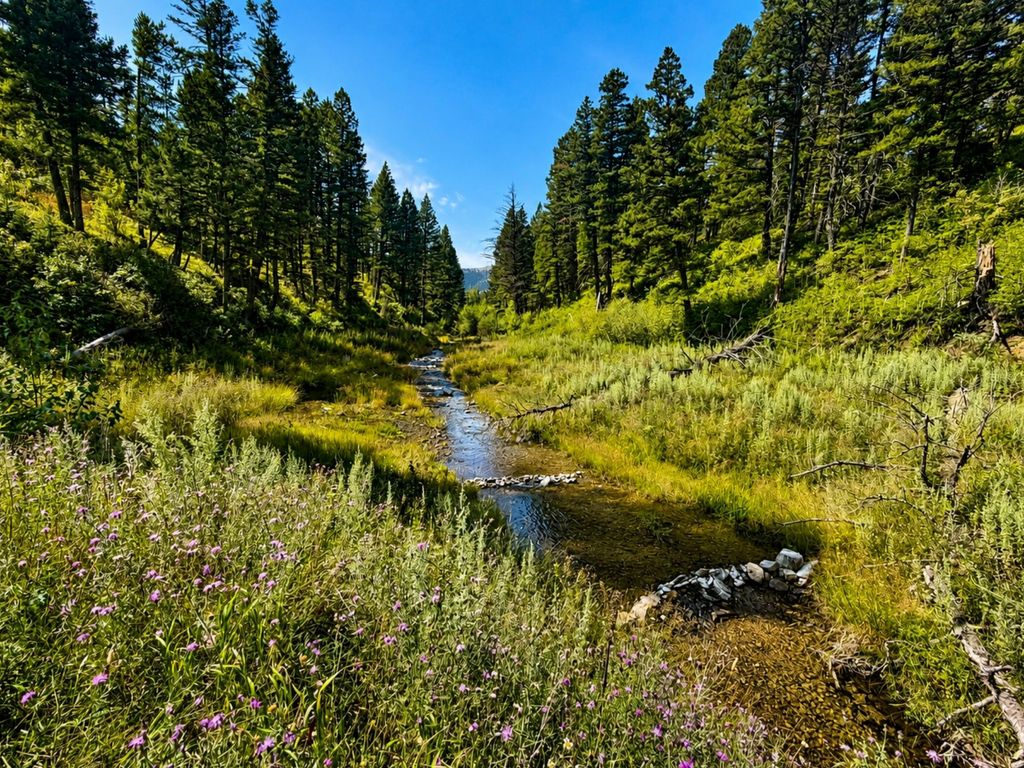 4100 MT Hwy 200, Wolf Creek, MT 59648 photo 3