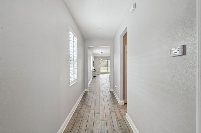 163 BLUE FLAX POINT, Longwood, FL 32750