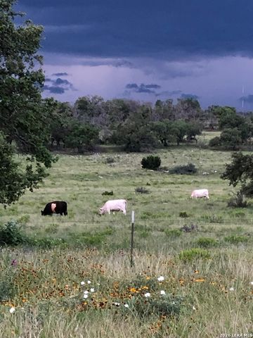 2154 AVIATION LOOP, Fredericksburg, TX 78624