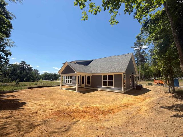 1008 Refuge Place, Chapin, SC 29036