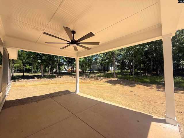 1008 Refuge Place, Chapin, SC 29036