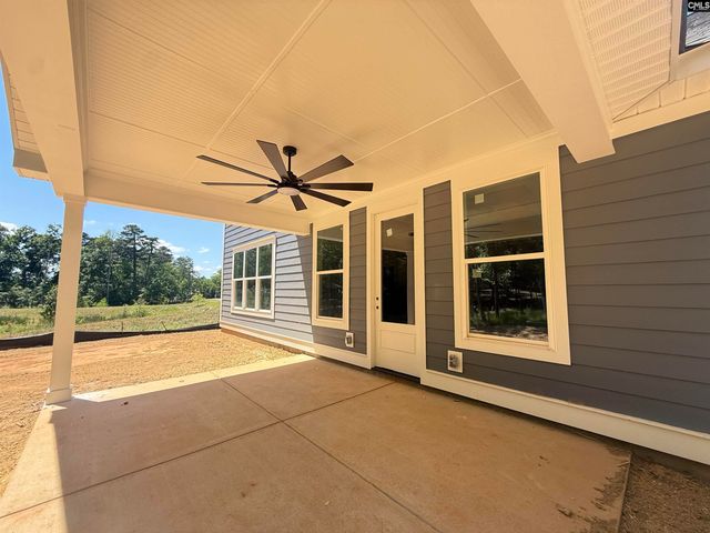 1008 Refuge Place, Chapin, SC 29036