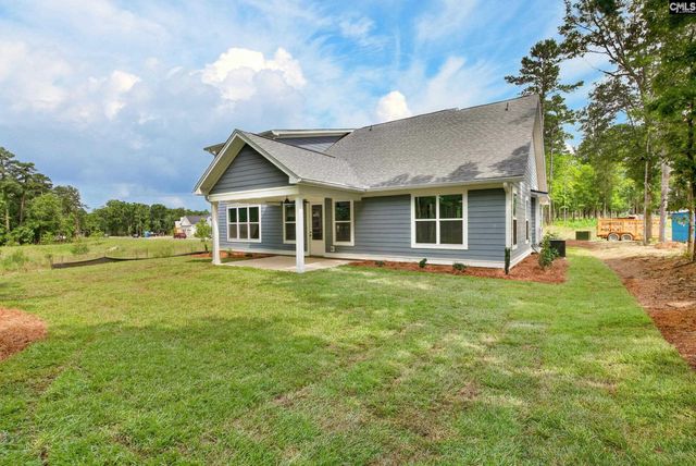 1008 Refuge Place, Chapin, SC 29036