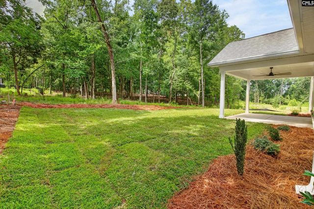 1008 Refuge Place, Chapin, SC 29036