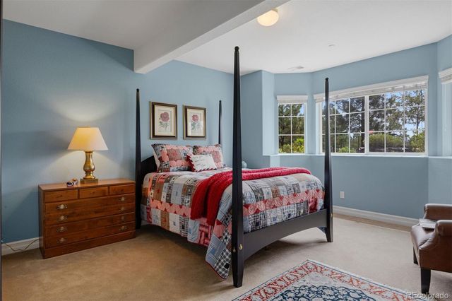 5138 Le Duc Drive, Castle Rock, CO 80108