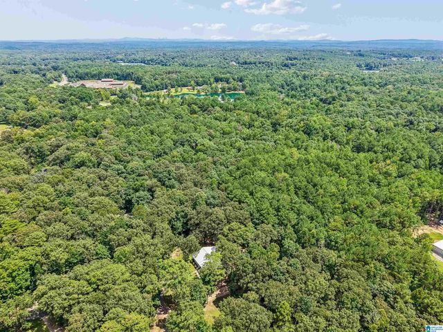 2701 HIGHWAY 39, Chelsea, AL 35043
