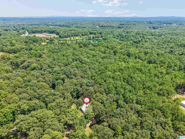 2701 HIGHWAY 39, Chelsea, AL 35043