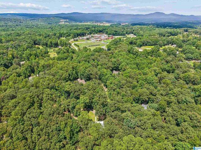 2701 HIGHWAY 39, Chelsea, AL 35043