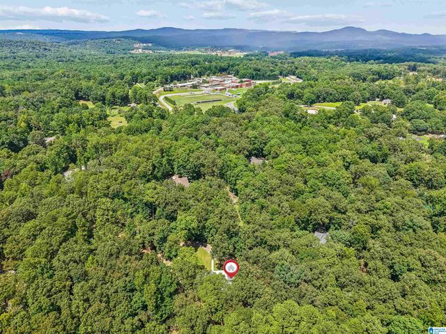 2701 HIGHWAY 39, Chelsea, AL 35043