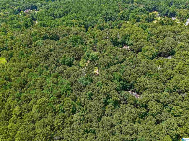 2701 HIGHWAY 39, Chelsea, AL 35043