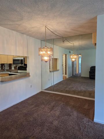 1700 PINE RIDGE WAY E C1, Palm Harbor, FL 34684