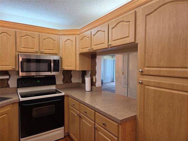 1700 PINE RIDGE WAY E C1, Palm Harbor, FL 34684